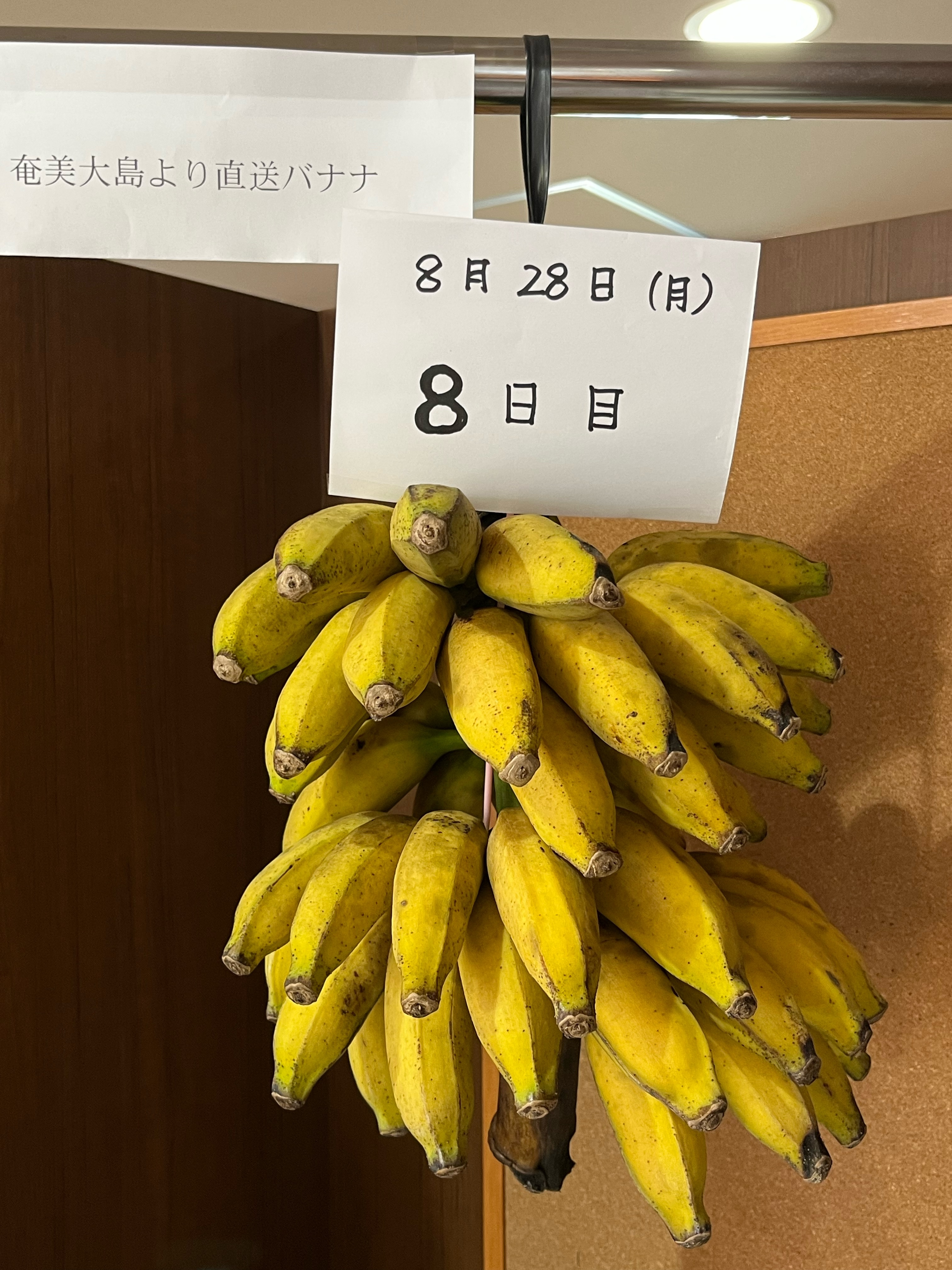 ８日目のバナナ